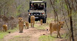 Game drives 4