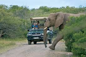 Game drives 5